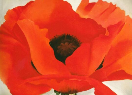 Georgia-O-Keeffe-Red-Poppy